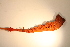  ( - MLI-061)  @12 [ ] Unspecified (default): All Rights Reserved  Unspecified Unspecified
