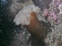  ( - PA-I-MS-03)  @13 [ ] No Rights Reserved (2013) Patrick Allaire Unspecified