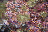  ( - BIOUG-KMH-011)  @11 [ ] Unspecified (default): All Rights Reserved  Unspecified Unspecified