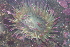  ( - BIOUG-KMH-014)  @11 [ ] Unspecified (default): All Rights Reserved  Unspecified Unspecified