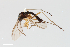  ( - ZFMK-TIS-2520494)  @13 [ ] Copyright (2014) Unspecified Zoologisches Forschungsmuseum Alexander Koenig