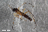  ( - ZFMK-TIS-2559686)  @11 [ ] CreativeCommons  Attribution Share-Alike (by-sa) 4.0 (2015) Unspecified Zoologisches Forschungsmuseum Alexander Koenig
