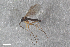  ( - ZFMK-TIS-2559754)  @12 [ ] CreativeCommons  Attribution Share-Alike (by-sa) 4.0 (2015) Unspecified Zoologisches Forschungsmuseum Alexander Koenig