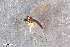  ( - ZFMK-TIS-2564664)  @11 [ ] CreativeCommons  Attribution Share-Alike (by-sa) 4.0 (2015) Unspecified Zoologisches Forschungsmuseum Alexander Koenig