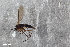  ( - ZFMK-TIS-2564772)  @12 [ ] CreativeCommons  Attribution Share-Alike (by-sa) 4.0 (2015) Unspecified Zoologisches Forschungsmuseum Alexander Koenig