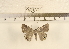  ( - YB-KC-L005-018)  @12 [ ] No Rights Reserved  Unspecified Unspecified
