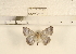  ( - YB-KC-L005-018)  @12 [ ] No Rights Reserved  Unspecified Unspecified