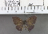 (Nacaduba subperusia - YB-KHC111)  @13 [ ] No Rights Reserved  Unspecified Unspecified
