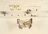  ( - YB-KHC3148)  @12 [ ] No Rights Reserved  Unspecified Unspecified