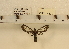  ( - YB-KHC4473)  @13 [ ] No Rights Reserved  Unspecified Unspecified