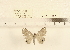  ( - YB-KHC4977)  @13 [ ] No Rights Reserved  Unspecified Unspecified
