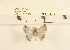  (Tasta sp. 2MKC - YB-KHC4977)  @13 [ ] No Rights Reserved  Unspecified Unspecified
