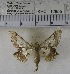  (Krananda sp. 2MKC - YB-KHC12855)  @12 [ ] Unspecified (default): All Rights Reserved  Unspecified Unspecified