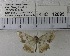  (Luxiaria sp. 1MKC - YB-KHC12895)  @13 [ ] Unspecified (default): All Rights Reserved  Unspecified Unspecified