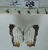  ( - CCDB03528_B10)  @12 [ ] No Rights Reserved  Unspecified Unspecified