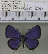  (Luthrodes - YB-KHC6794)  @14 [ ] No Rights Reserved  Unspecified Unspecified