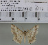  (Luxiaria sp. 4MKC - YB-KHC6772)  @12 [ ] Unspecified (default): All Rights Reserved  Unspecified Unspecified