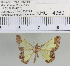  (Zamarada sp. 1MKC - YB-KHC4360)  @12 [ ] No Rights Reserved  Unspecified Unspecified