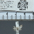  ( - CCDB20515_B10)  @12 [ ] No Rights Reserved  Unspecified Unspecified