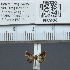  ( - CCDB20515_A12)  @12 [ ] No Rights Reserved  Unspecified Unspecified