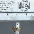  ( - CCDB20515_A11)  @12 [ ] No Rights Reserved  Unspecified Unspecified