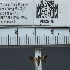  ( - CCDB20515_B04)  @12 [ ] No Rights Reserved  Unspecified Unspecified