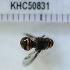  ( - KHC-001_E07)  @11 [ ] No Rights Reserved  Unspecified Unspecified
