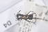  (Camponotus sp. P - CoD04)  @11 [ ] Copyright (2011) Fabian Haas icipe