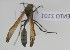  ( - NMK-ENTO 2101)  @11 [ ] Unspecified (default): All Rights Reserved  Unspecified Unspecified