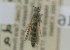  ( - NMK-ENTO 2116)  @11 [ ] Unspecified (default): All Rights Reserved  Unspecified Unspecified
