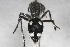  ( - 13710-MutillB9)  @11 [ ] Copyright (2011) RS Copeland Unspecified