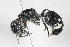  ( - 13712-MutillC8)  @11 [ ] Copyright (2011) RS Copeland Unspecified