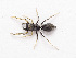  ( - NMF2012-01399.PK109)  @11 [ ] CreativeCommons - Attribution Non-Commercial Share-Alike (2012) Unspecified Natuurmuseum Fryslân