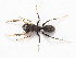  ( - NMF2012-01399.PK158)  @11 [ ] CreativeCommons - Attribution Non-Commercial Share-Alike (2012) Unspecified Natuurmuseum Fryslân