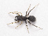  ( - NMF2012-01399.PK248)  @11 [ ] CreativeCommons - Attribution Non-Commercial Share-Alike (2012) Unspecified Natuurmuseum Fryslân