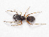  ( - NMF2012-01399.PK249)  @11 [ ] CreativeCommons - Attribution Non-Commercial Share-Alike (2012) Unspecified Natuurmuseum Fryslân