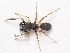  ( - NMF2012-01399.PK250)  @11 [ ] CreativeCommons - Attribution Non-Commercial Share-Alike (2012) Unspecified Natuurmuseum Fryslân