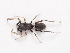  ( - NMF2012-01399.PK255)  @11 [ ] CreativeCommons - Attribution Non-Commercial Share-Alike (2012) Unspecified Natuurmuseum Fryslân