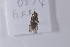  ( - GlfufuH05)  @12 [ ] Copyright (2011) Fabian Haas icipe