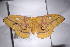  ( - NukrB11)  @12 [ ] Copyright (2011) Fabian Haas icipe