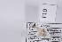  ( - DiseF10)  @11 [ ] Copyright (2011) Fabian Haas icipe