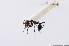  ( - 14676-MeanF11)  @12 [ ] Copyright (2012) Fabian Haas icipe