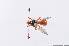  ( - 14676-DiapH08)  @13 [ ] Copyright (2012) Fabian Haas icipe