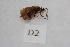  ( - 12HMCAD-43)  @12 [ ] Unspecified (default): All Rights Reserved  None Unspecified