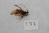  ( - 12HMCAD-64)  @12 [ ] Unspecified (default): All Rights Reserved  None Unspecified