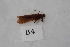  ( - 12HMCAD-121)  @13 [ ] Unspecified (default): All Rights Reserved  None Unspecified