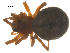  ( - 07CHU-AR-0007)  @12 [ ] CreativeCommons - Attribution (2009) Emily Robinson, Biodiversity Institute of Ontario Centre for Biodiversity Genomics