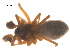  ( - 07CHU-AR-0078)  @12 [ ] CreativeCommons - Attribution (2009) Emily Robinson, Biodiversity Institute of Ontario Centre for Biodiversity Genomics