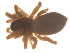  ( - 07CHU-AR-0080)  @12 [ ] CreativeCommons - Attribution (2009) Emily Robinson, Biodiversity Institute of Ontario Centre for Biodiversity Genomics