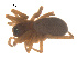  ( - 07CHU-AR-0082)  @12 [ ] CreativeCommons - Attribution (2009) Emily Robinson, Biodiversity Institute of Ontario Centre for Biodiversity Genomics